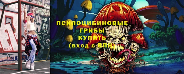 индика Приозерск
